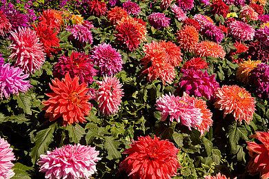 《双影奇境》开发者任天堂官方访谈 受到《马里奥：银河》启发