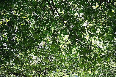 《DOTA2》传奇三号位Faith_bian宣布退役